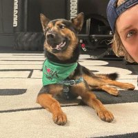 alex ✨️ #1 bo gage fan (@yourarcherboy) 's Twitter Profile Photo alex ✨️ #1 bo gage fan (@yourarcherboy) 's Twitter Profile Photo