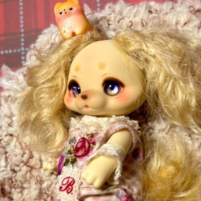 uraranrann's profile picture. インスタでドール遊びしてましたがボニーバニーの為に新しくドール垢作りました✨最近はkumukuku、cocoriangに沼ってます♨️30↑大人です🍓別垢@urarara_spring⭐️⭐️