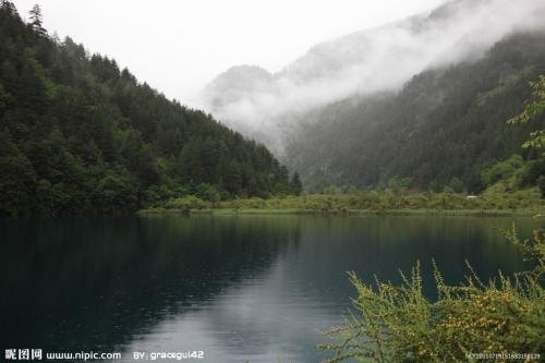 is0piq87785's profile picture. 