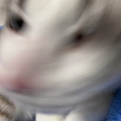 いついさんのプロフィール画像