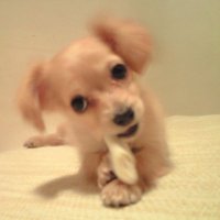 らうんじ (@lounge_ag) Twitter profile photo