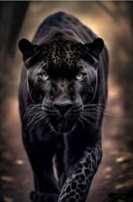 uniqueme45's profile picture. #blockchain #ICO