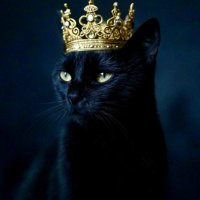 ItsNotMe (@christofgeorgio) 's Twitter Profile Photo