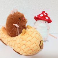 Lucy (@lucy_10107) 's Twitter Profile