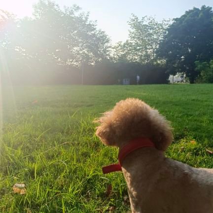 TanLi04783361's profile picture. FreenBecky🌸