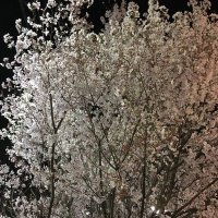 martin John (@martinjohn98975) Twitter profile photo