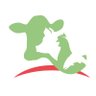 EFFAB_FABRETP's profile picture. 🇪🇺 The European Forum of Farm Animal Breeders promotes balanced and responsible breeding. 

EFFAB is also the secretariat of FABRE TP. 

🔗 https://t.co/F7hpOY2N7B