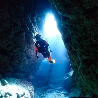 shuuublog's profile picture. Google Cloud パートナー企業で働くエンジニア。 Google Cloud 認定資格9冠 (全冠制覇まであと少し！)  Gemini Ultraプランを個人契約し、Veoに熱中。  仕事とプライベートでもGoogle製品使ってることに気づいた。