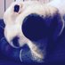 Sufak (@sufakmurloc) Twitter profile photo Sufak (@sufakmurloc) Twitter profile photo
