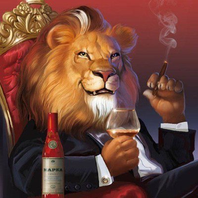 loewenzahn345's profile picture. "Schlimmer kann es nicht mehr werden" dachte ich, aber es kam dann doch schlimmer.