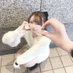 ʚひめてんɞ (@himeno_milpan) Twitter profile photo ʚひめてんɞ (@himeno_milpan) Twitter profile photo