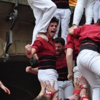 Roger Feijoo (@rogerfeijoo) 's Twitter Profile