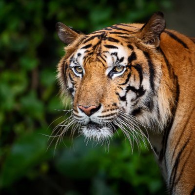 BlPetros32's profile picture.