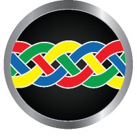 Safer South Africa Foundation (@safersa_) 's Twitter Profile