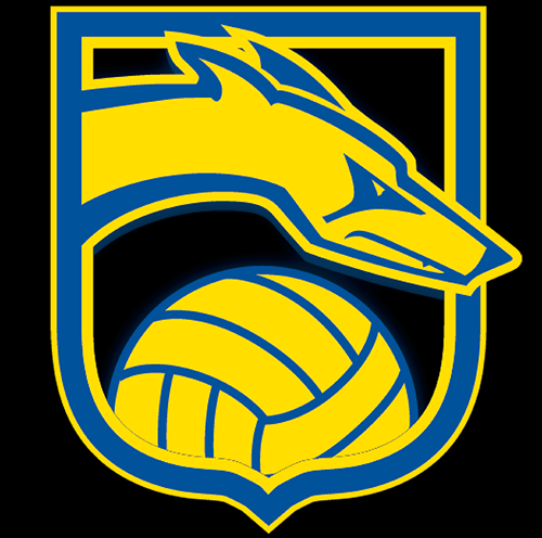 Official Twitter for the Carmel High School Boys Volleyball team.  Get game updates and overall information on the team.