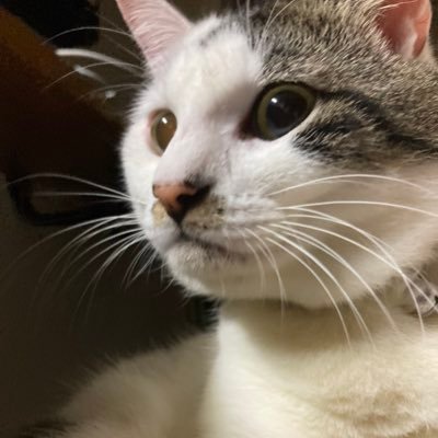 hisa52656198's profile picture. 競馬を始めて40年　子育ての間休止はありましたが　今は豆馬券で楽しむ程度　自分の予想が散らかっている時は◯のりさせていただいてます。