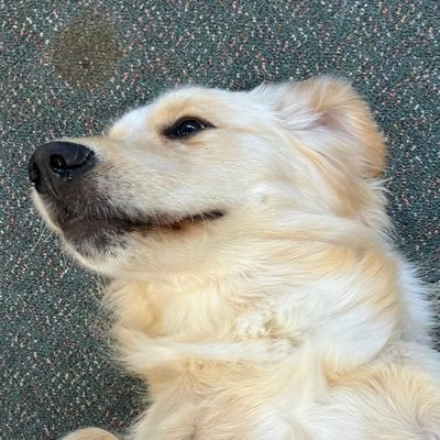 NUSAD's profile picture. 雰囲気で株と暗号資産。現物のみ。基本長期保有。暗号資産7割。よく解ってません。適当にツイートしてます。20だい。₿TC XRP DOGE S&P500 Fang+ フォロバ100% 2027年以内にサイドFIRE予定