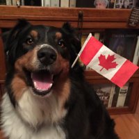 David Hiller (@bodhihodi) 's Twitter Profile Photo David Hiller (@bodhihodi) 's Twitter Profile Photo