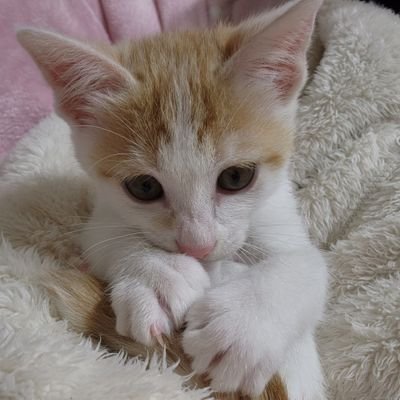 lodyy0_0's profile picture. 