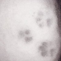 いるる (@0lululi6) 's Twitter Profile