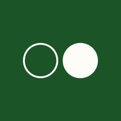 Reflection AI Profile