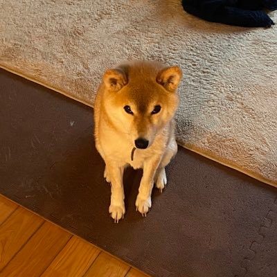 satou421312345's profile picture. 06 多摩美術大学油画科1年