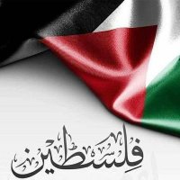 Sara Elsayed (@elsyedsara61478) Twitter profile photo