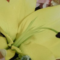 berisikamay (@smriwingswing) 's Twitter Profile