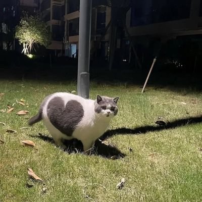 Cjrandy001's profile picture. learn to share 🤗