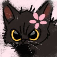 🎼🍩NekuraKero (@nekurakero) 's Twitter Profile