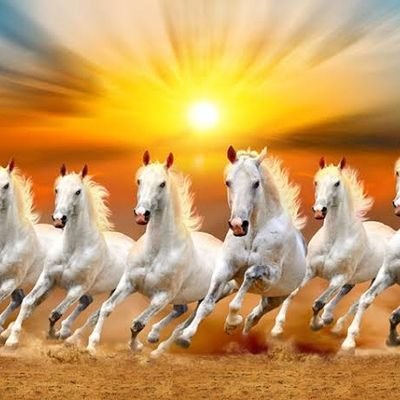 utkarshini11709's profile picture. Nature, animals 
Follow me 💯 💯 💯 💯 💯 follow back
