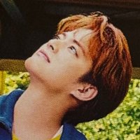 🌸さくら🐕‍🦺 (@ek560jb5ixuhd1s) Twitter profile photo