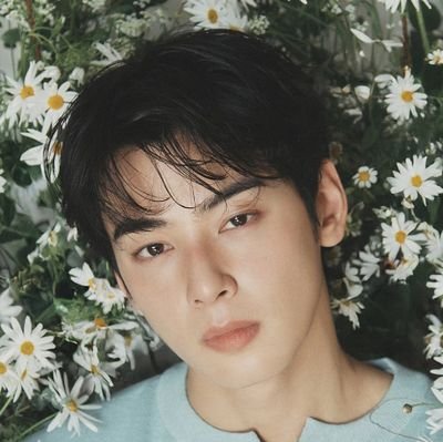 🩷 ◜ᴄʜᴀᴇᴜɴᴡᴏᴏ◞ 🩷 ⋆🌷🌞🪴 ⋆ •°