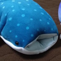 つなかん (@h08046613) 's Twitter Profile