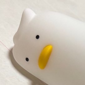 GeneAeon_Quiz's profile picture. QWERTYだけが武器らしい←リアリティ、笑