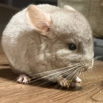 hu00034's profile picture. ♨️ 🚺