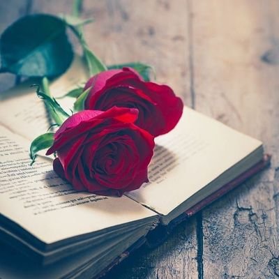 Advika0978's profile picture. 