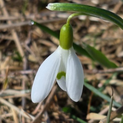 LotCry94910's profile picture. 