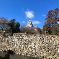 まる (@m_study_medi750) 's Twitter Profile