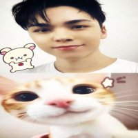 yaya :o (@hansolkucing) 's Twitter Profile