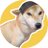 ALLCLUBTH's profile image