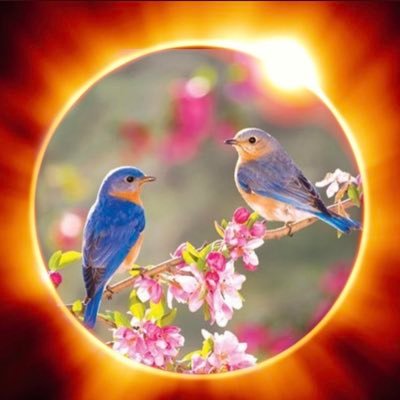 #پادشاهی_مشروطه ما میلیون ها ایرانی ، خواهان پادشاهى #سید_محمد_حسینی هستيم