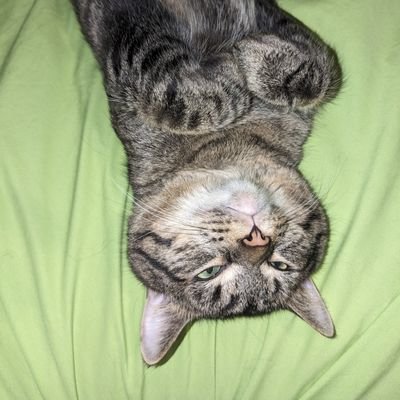 DAlan43928's profile picture. 64 .. I post what to me , seems like common sense. sometimes I rant.