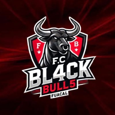Bull5Fc's profile picture. #PS5 competitive club of #FC25 11vs11