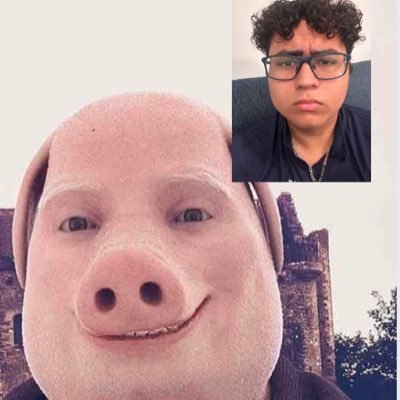 v1bz Profile