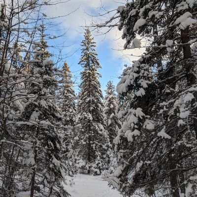 armageddon8888's profile picture. The only real freedom is Jesus Christ
-the Way, the Truth, and the Life.
    My hope is built on nothing less than Jesus' Blood and righteousness.