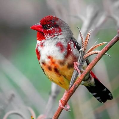 kamh17178's profile picture. 