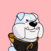 BOTCHI (1st EDU MEME) (@botchitoken) 's Twitter Profile