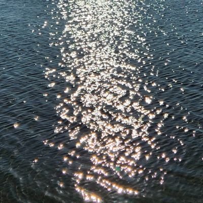 F10388915F's profile picture. 