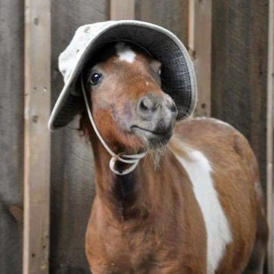 cowboyさんのプロフィール画像